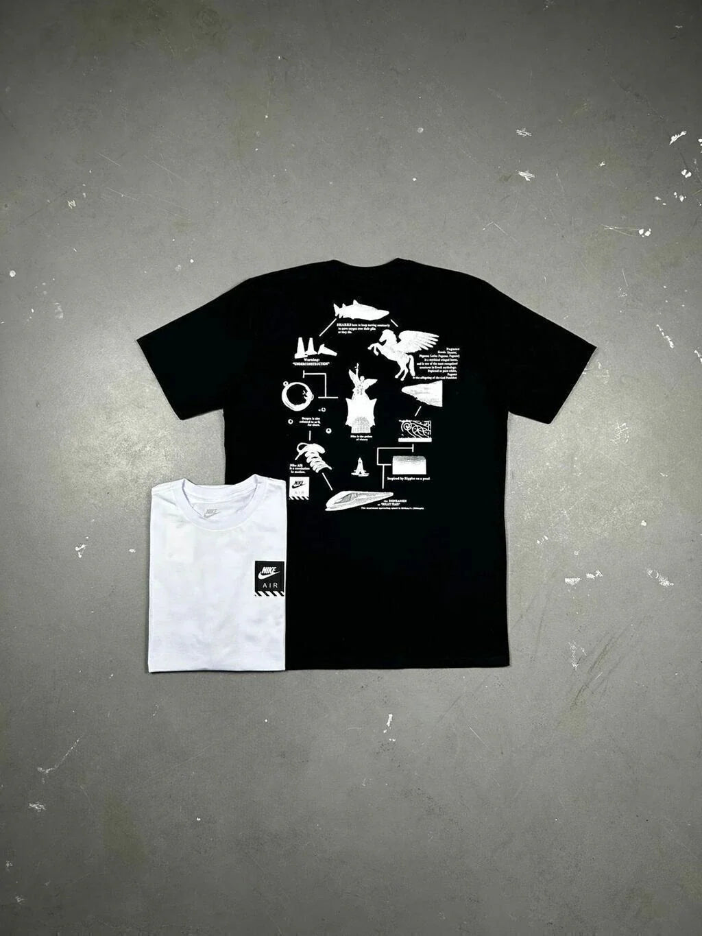 CAMISETA NK PEGASUS