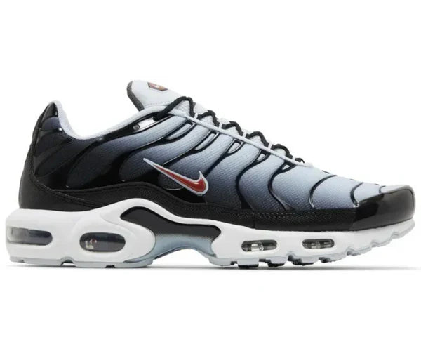 Air Max Tn 1 "Black Blue Tint"