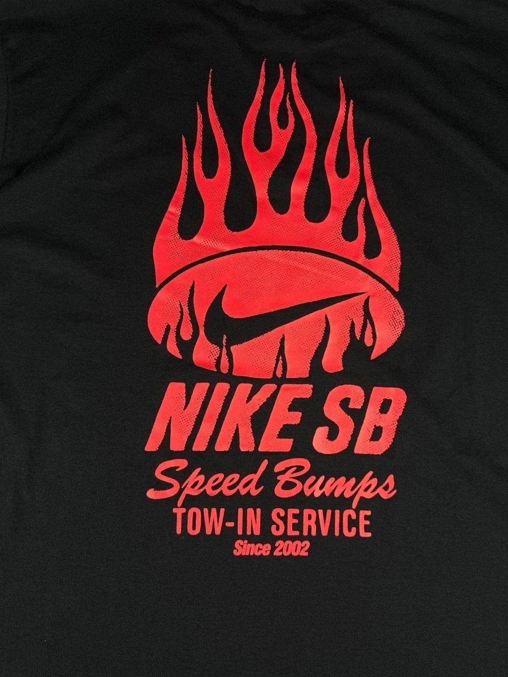 CAMISETA NK SB MAX90