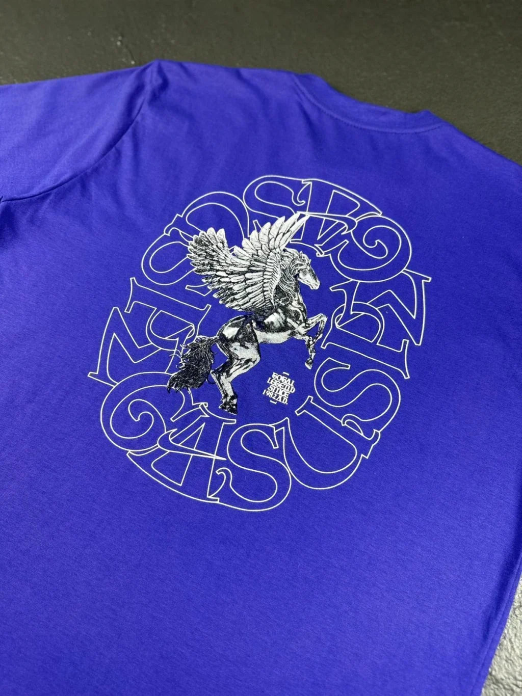 CAMISETA NK PEGASUS LEGACY